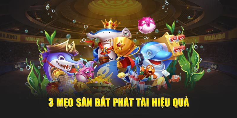 Đàn cá nhỏ là mỏ vàng để anh em tích điểm siêu nhanh.