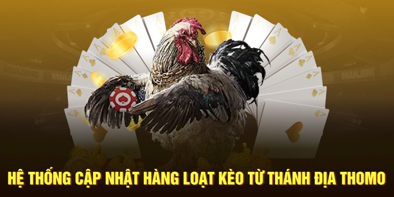 Đá Gà King88 từ Thomo, kèo cược siêu hời, trận đấu mãn nhãn.