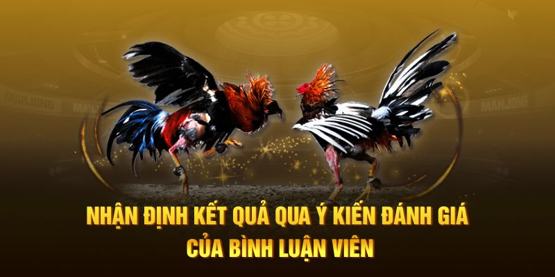 Chương trình khuyến mãi hấp dẫn
