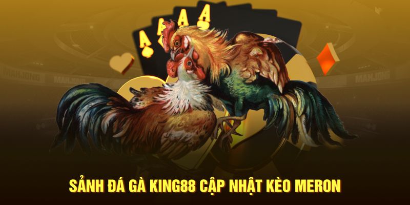 King88 cung cấp đa dạng loại kèo đá gà